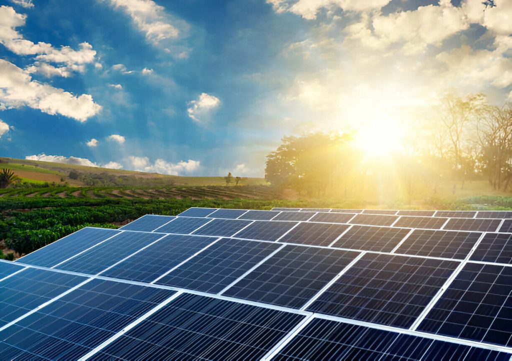 Time To Save Pty Ltd | The Role of Renewable Energy in Energy Upgrade Programs: A Pathway to Sustainable Living